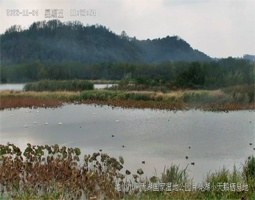 开宁慢直把摄像机实时慢直播池州天鹅湖 天鹅栖息情况