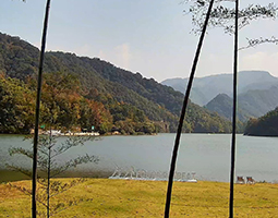 杭州富春方外酒店美景慢直播案例